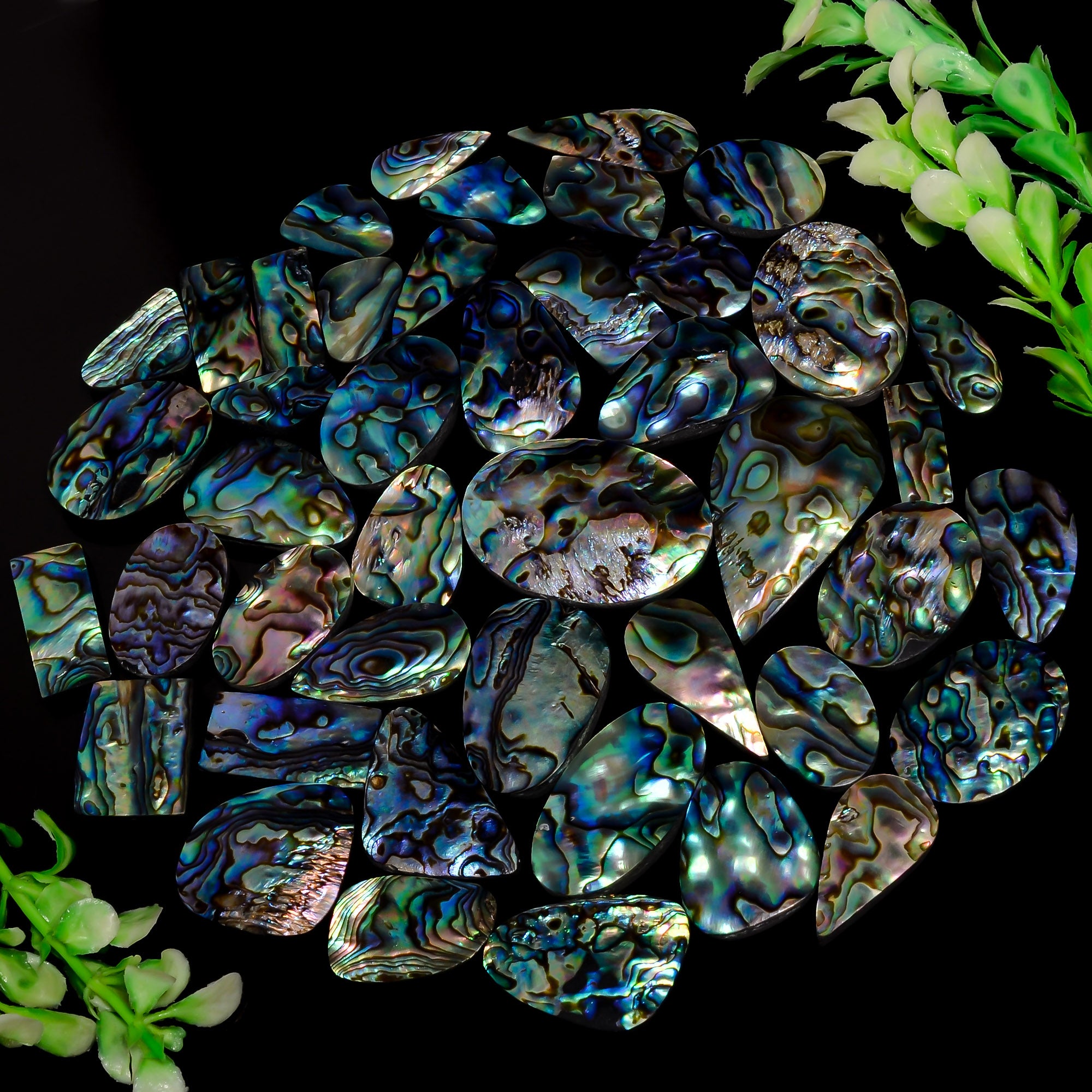 Natural Abalone shell gemstone lot