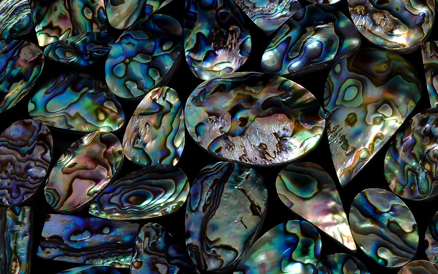 Natural Abalone shell gemstone lot