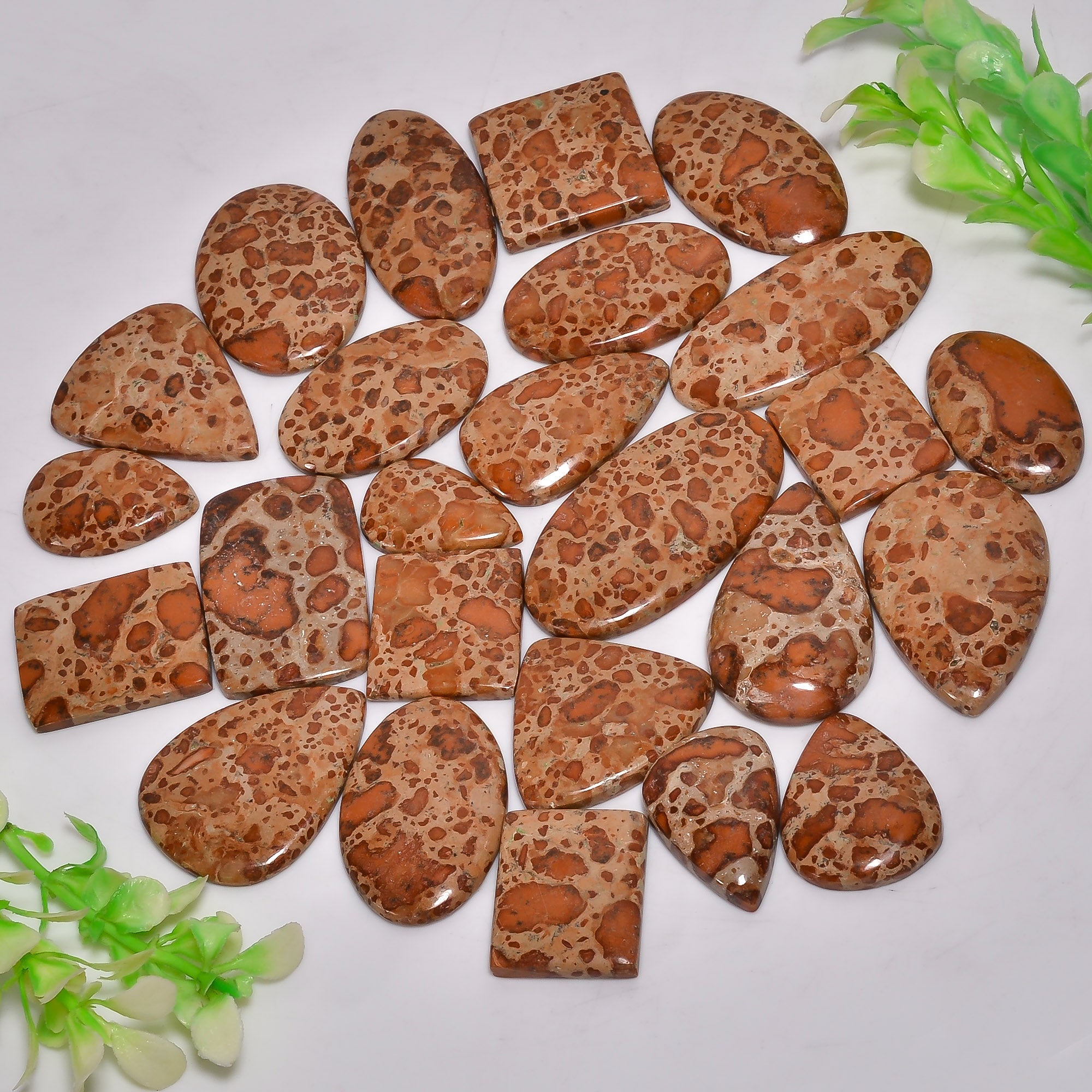 Natural Asteroid Jasper Cabochon wholesale lot 