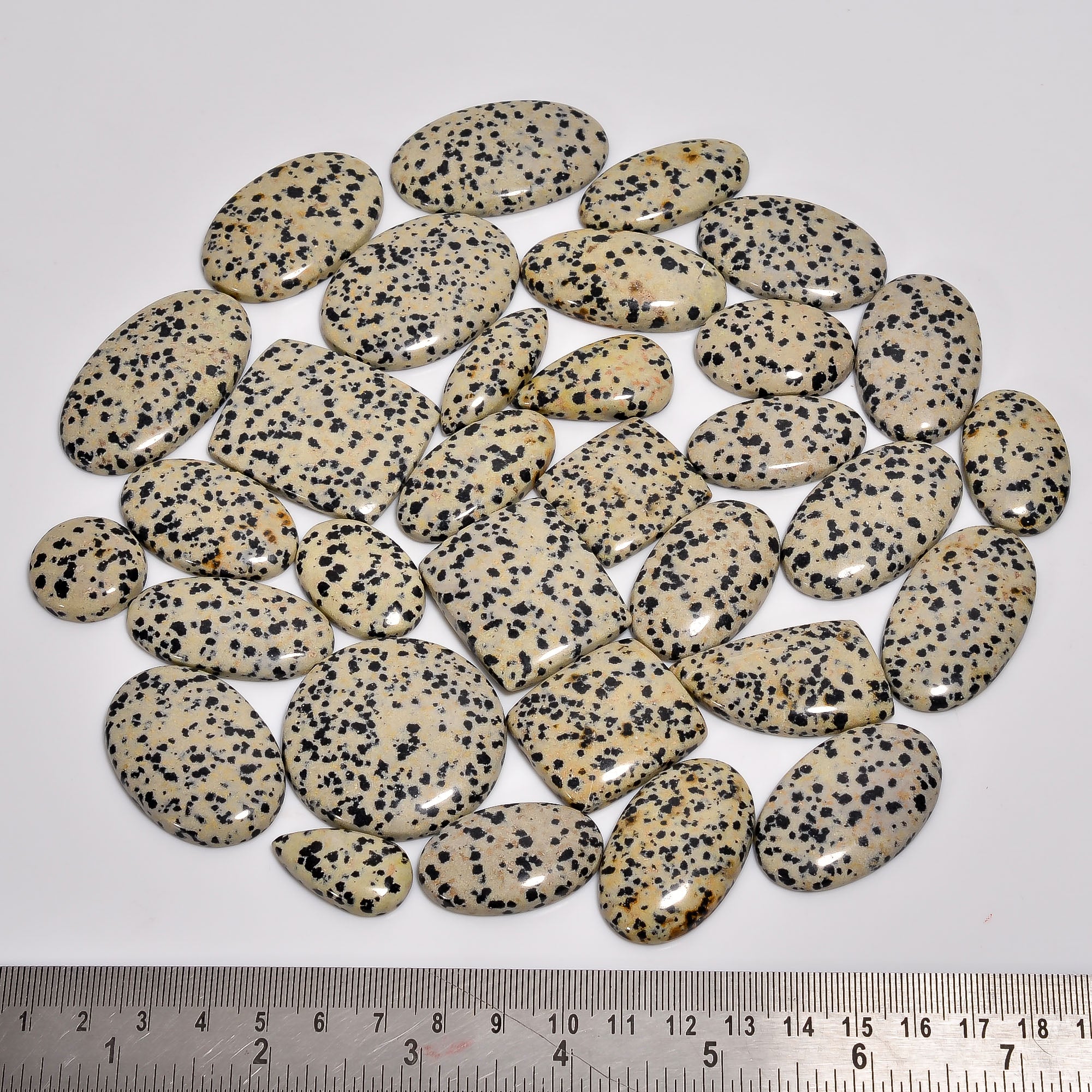Natural Dalmation Jasper Cabochons in Bulk – Wholesale Gemstone Lot for Designers