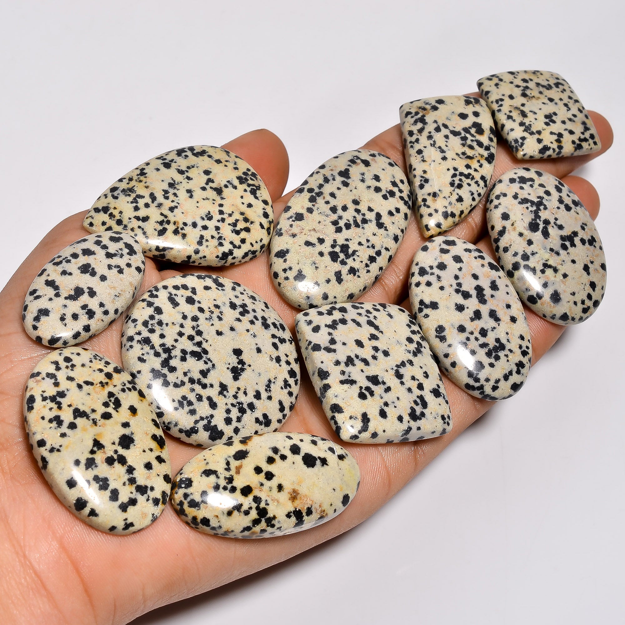 Natural Dalmation Jasper Cabochons in Bulk – Wholesale Gemstone Lot for Designers