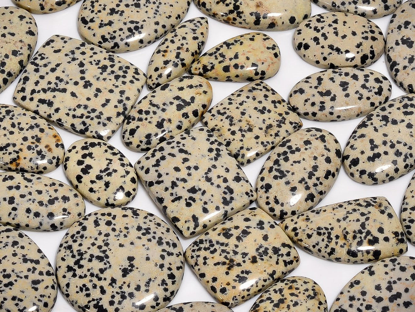 Natural Dalmation Jasper Cabochons in Bulk – Wholesale Gemstone Lot for Designers