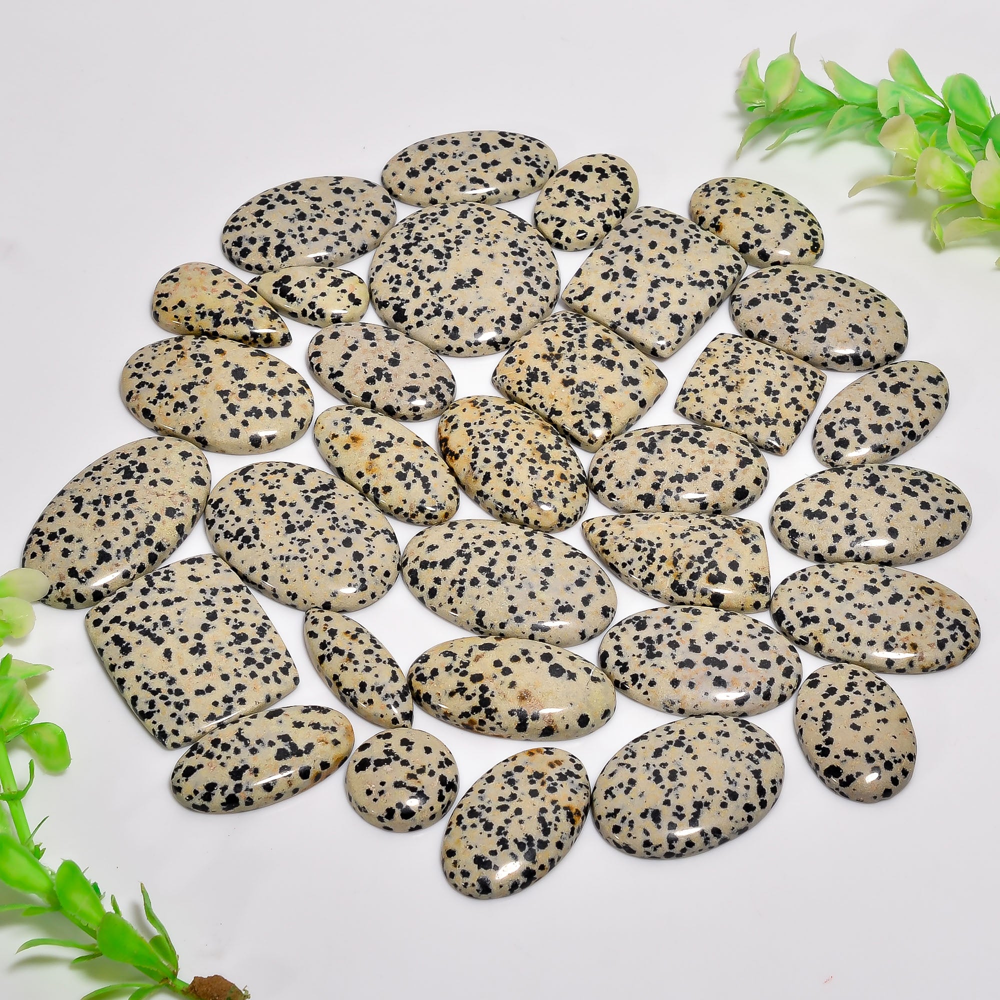 Natural Dalmation Jasper Cabochons in Bulk – Wholesale Gemstone Lot for Designers