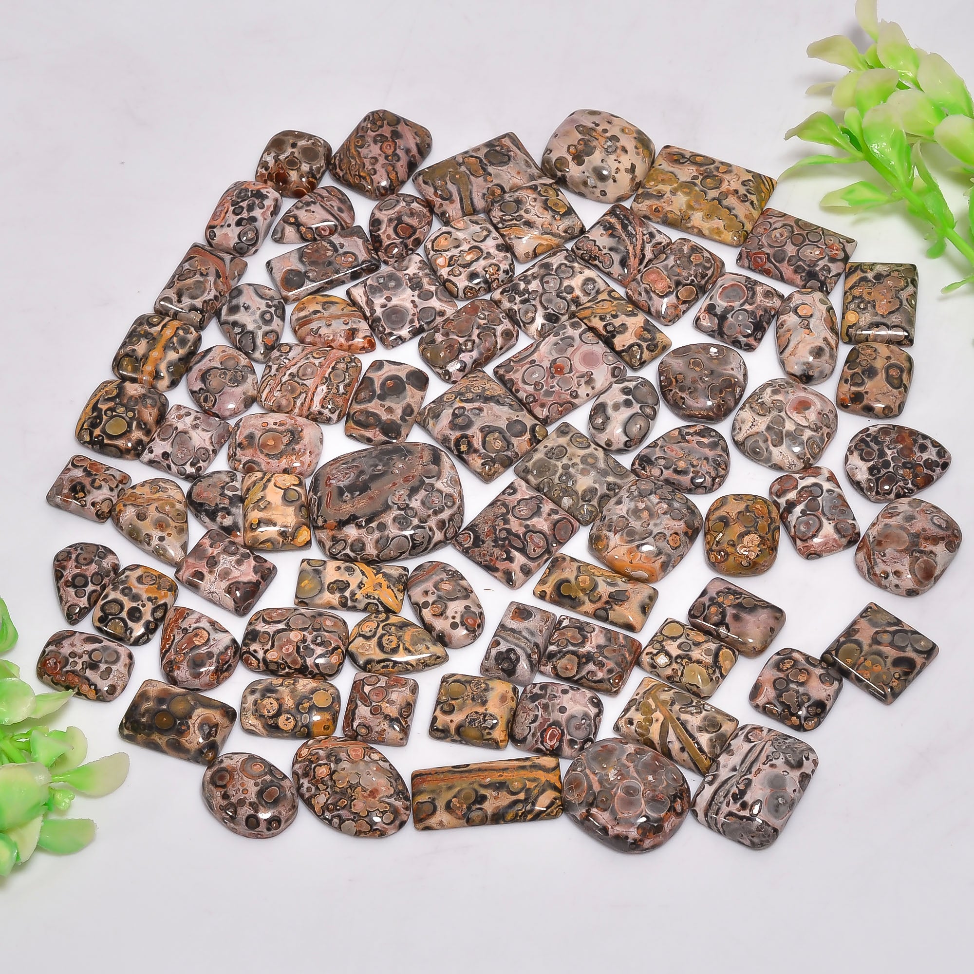 Bulk Natural Leopard Skin Jasper New Cabochon Gemstone Lot – Wholesale Jewelry Supplies