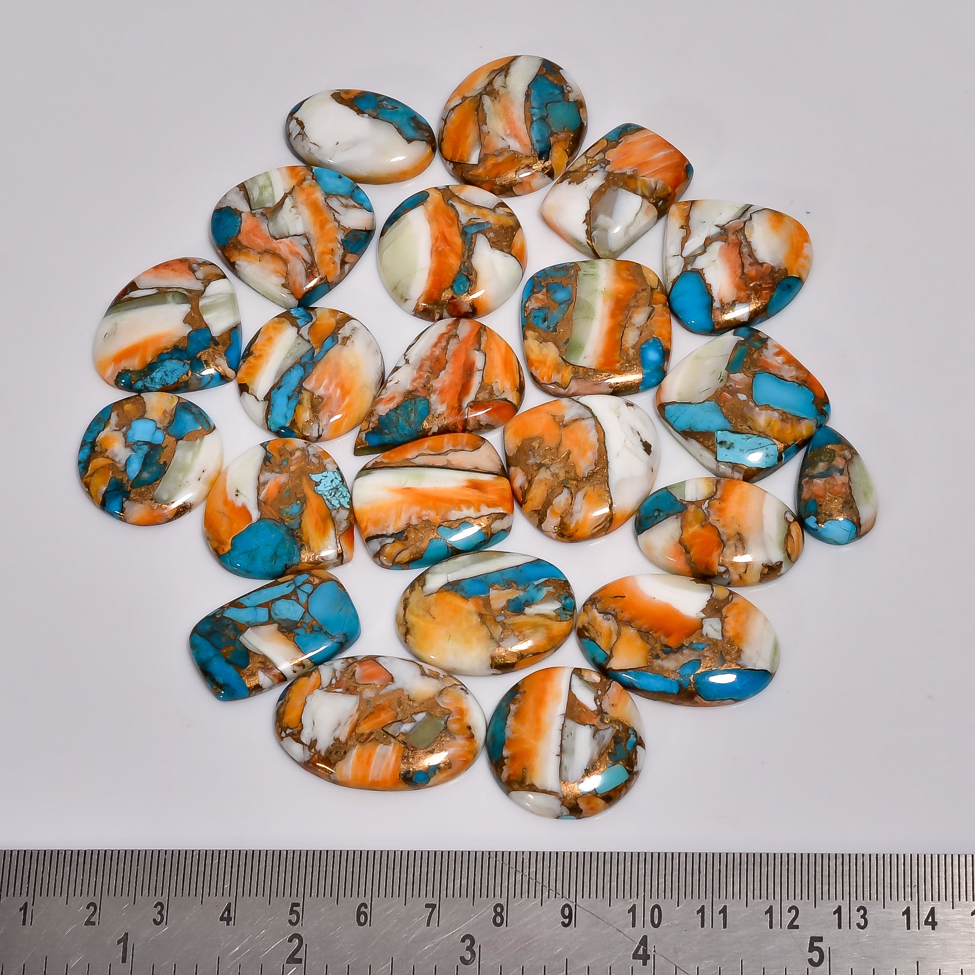 Smooth Dome Cut Oyster Turquoise Gemstones – Bulk Cabochon Parcel at Factory Price