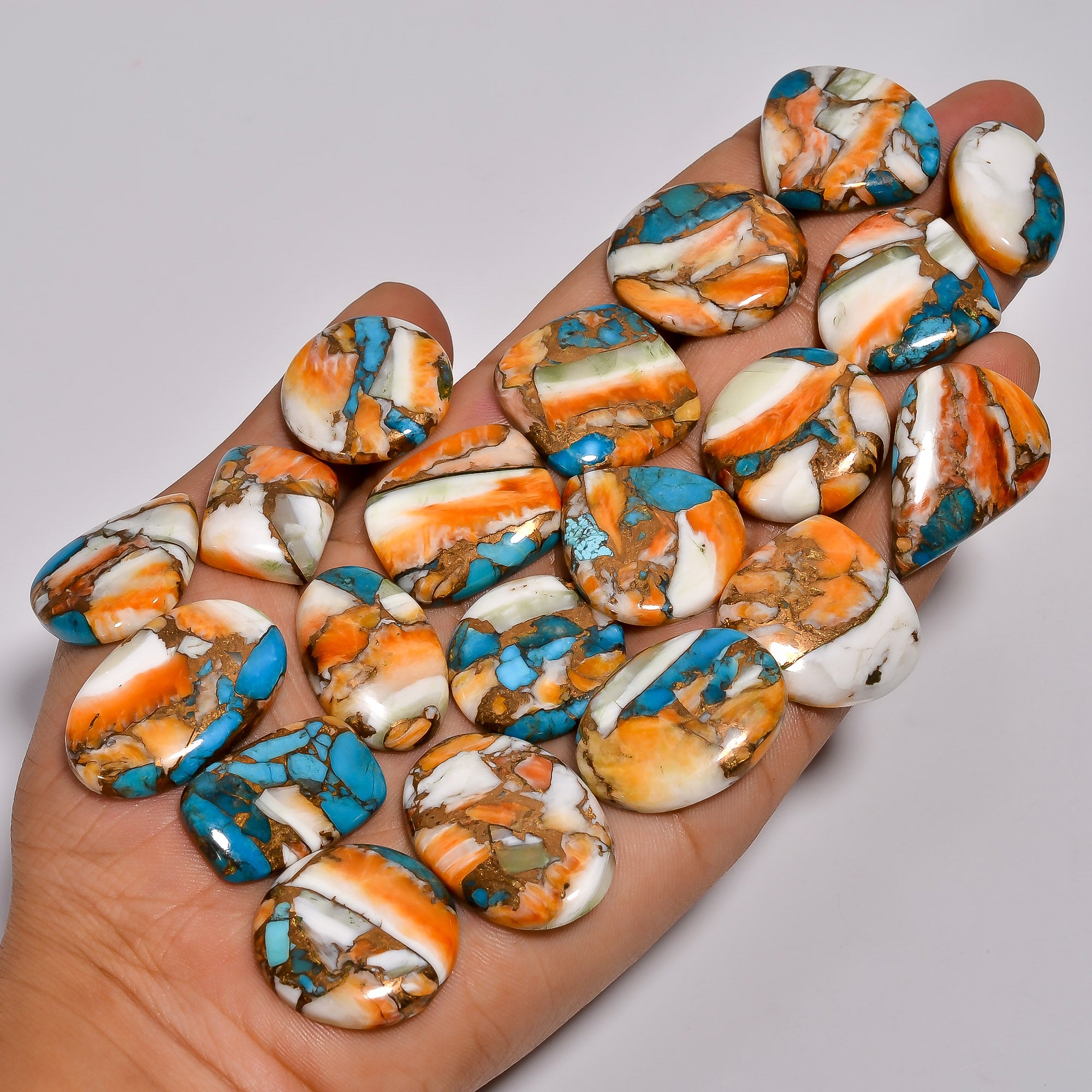 Smooth Dome Cut Oyster Turquoise Gemstones – Bulk Cabochon Parcel at Factory Price