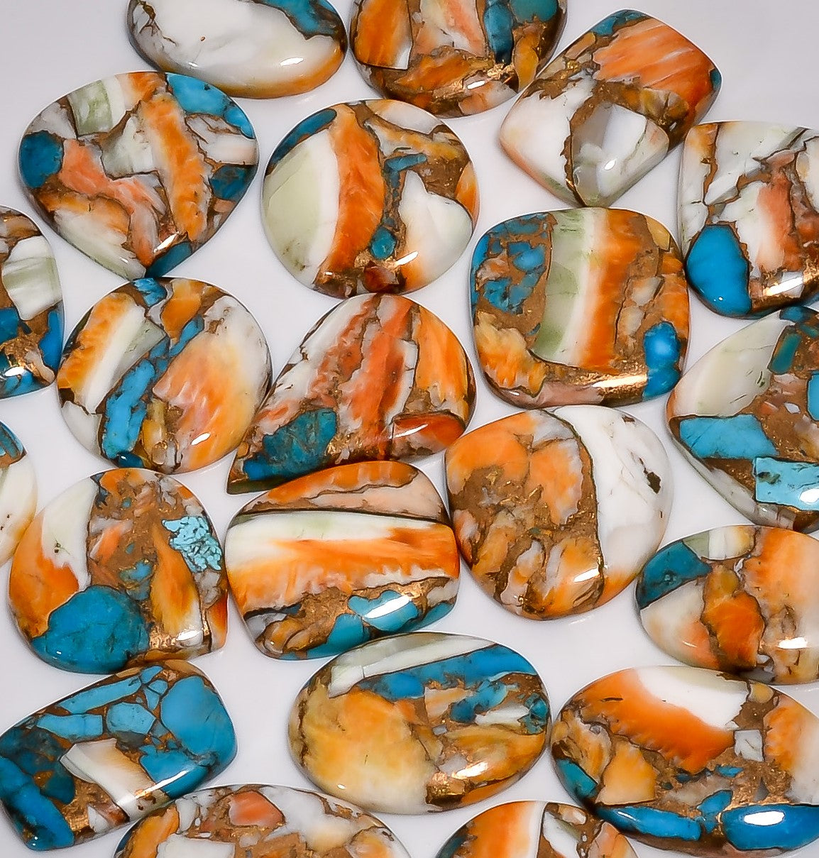 Smooth Dome Cut Oyster Turquoise Gemstones – Bulk Cabochon Parcel at Factory Price