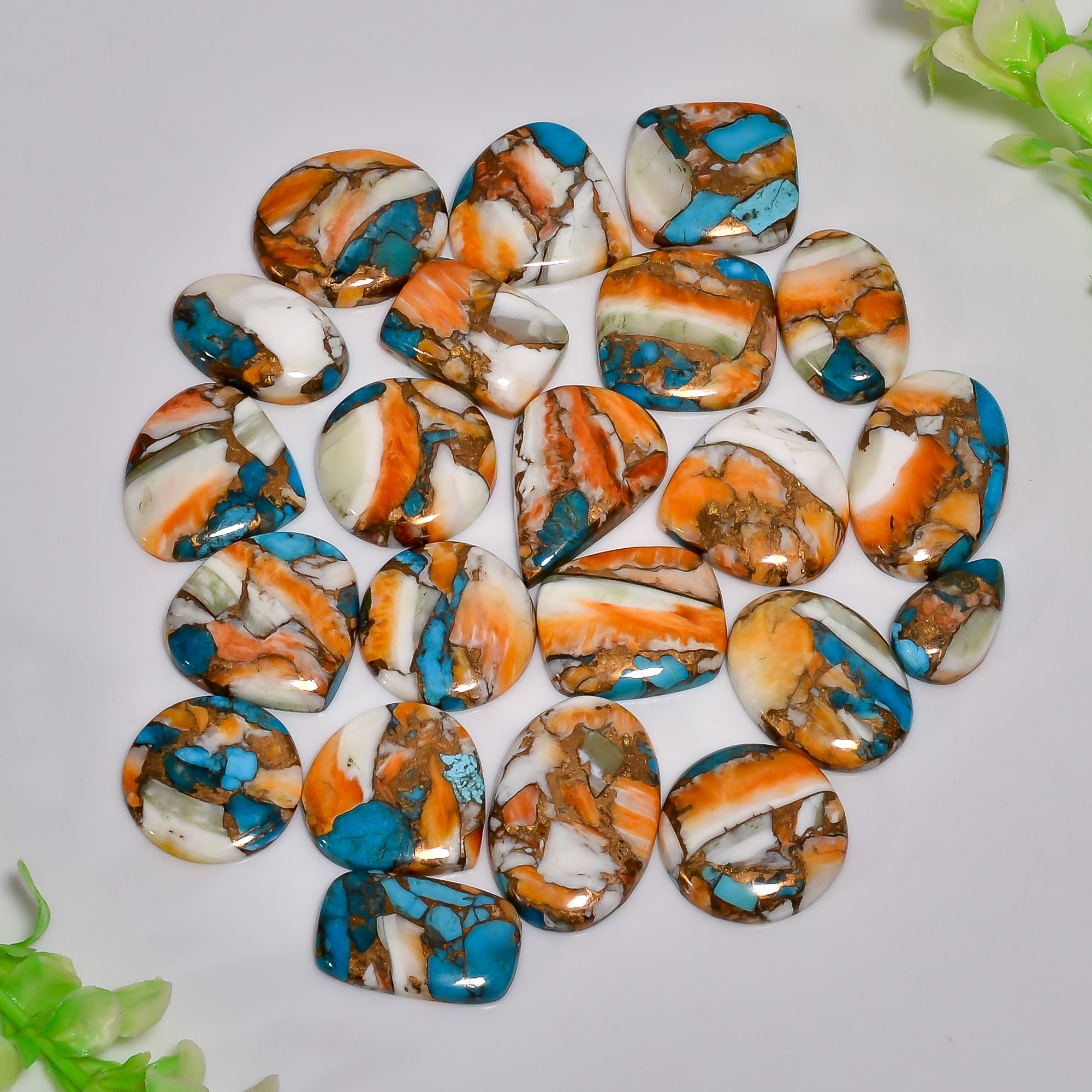 Smooth Dome Cut Oyster Turquoise Gemstones – Bulk Cabochon Parcel at Factory Price