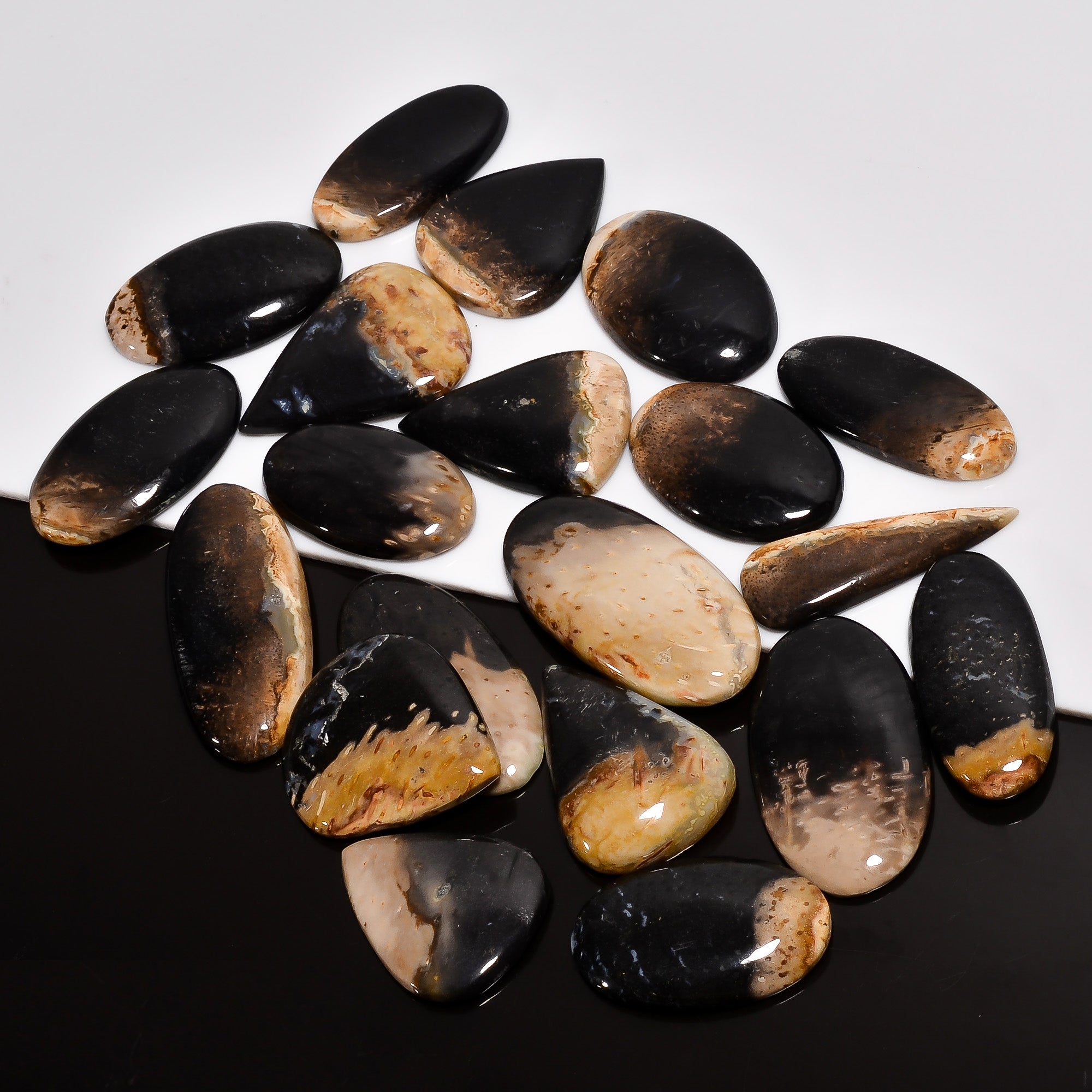 Artisan Jewelry Supply – Natural Palm Root Agate Cabochons in Wholesale Quantity