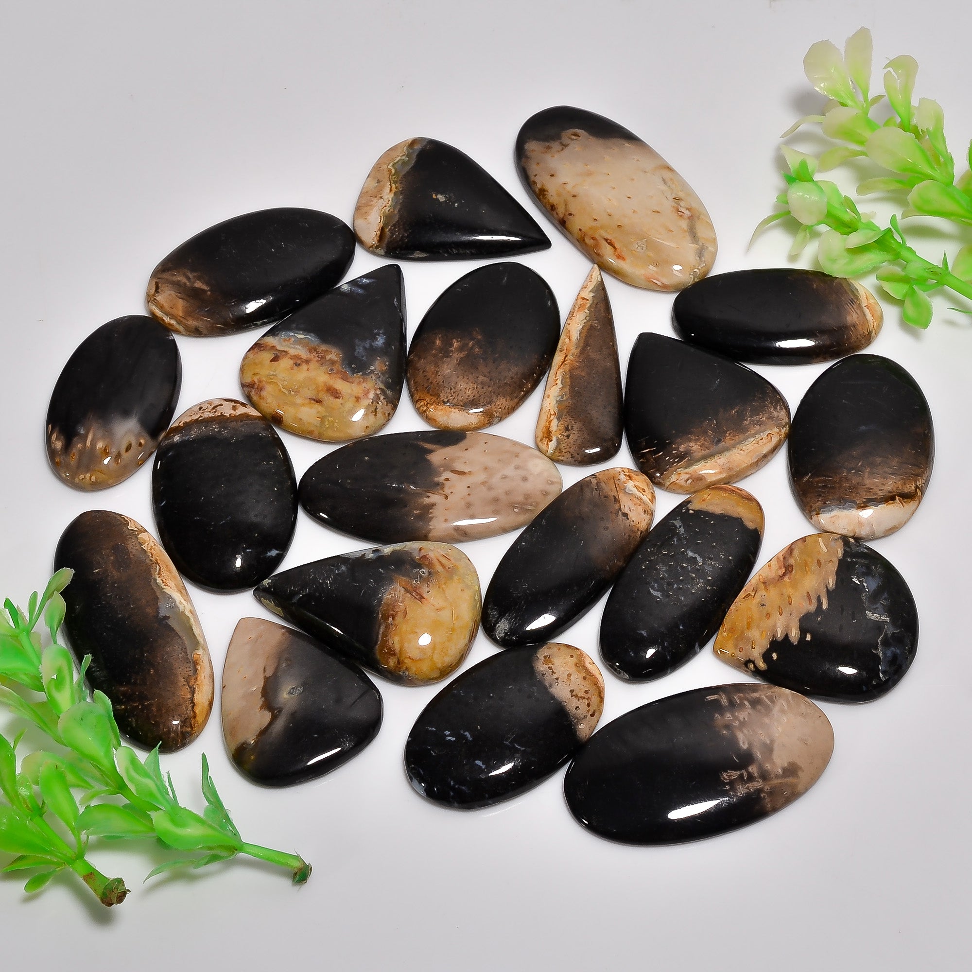 Artisan Jewelry Supply – Natural Palm Root Agate Cabochons in Wholesale Quantity