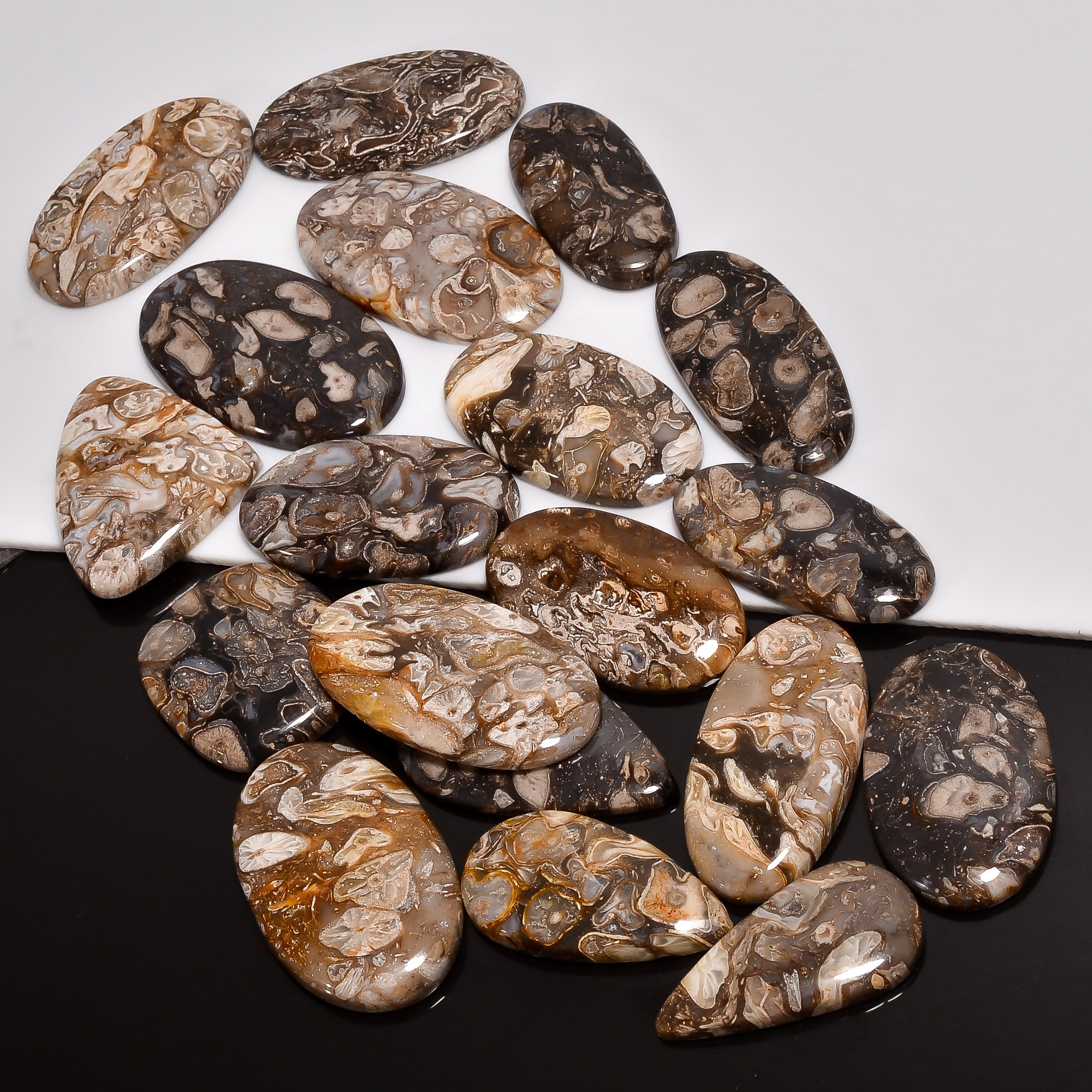 Peanut Wood Fossil Cabochon lot's - Direct From Manufacturer