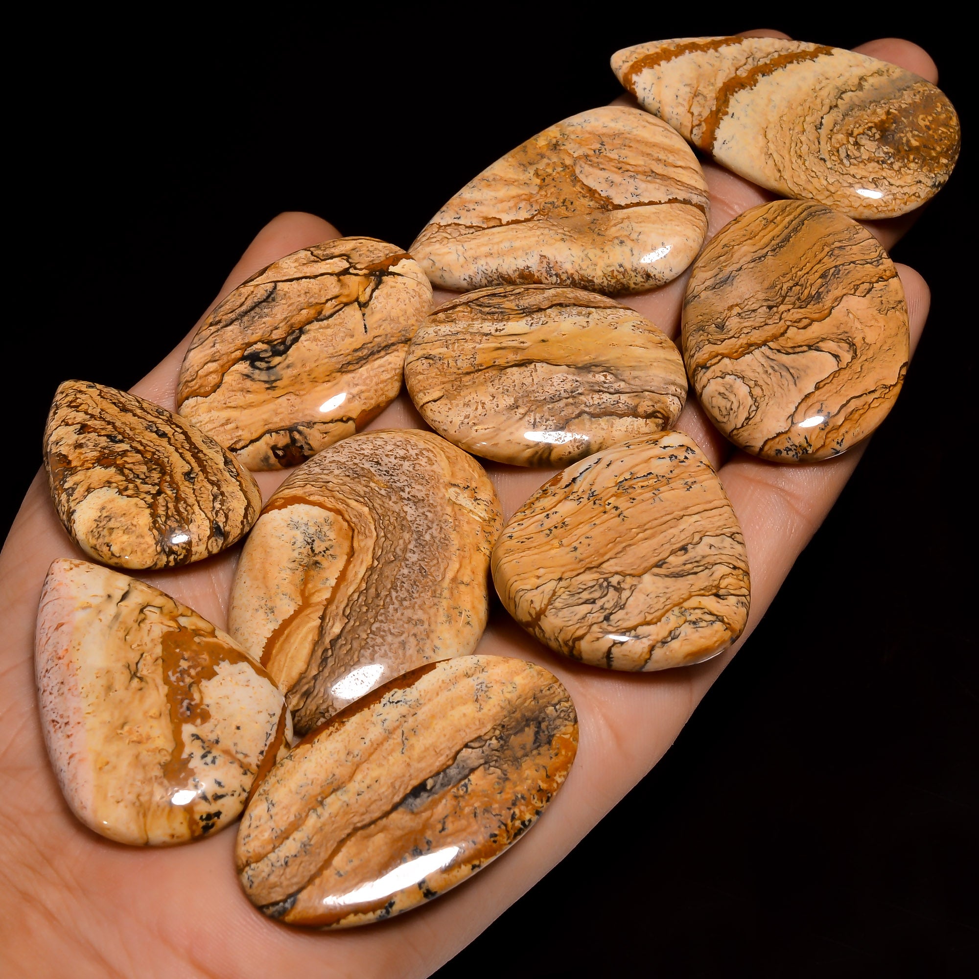 Wholesale Natural Picture Jasper Cabochons – Bulk Gemstone Lot for Jewelry Designers