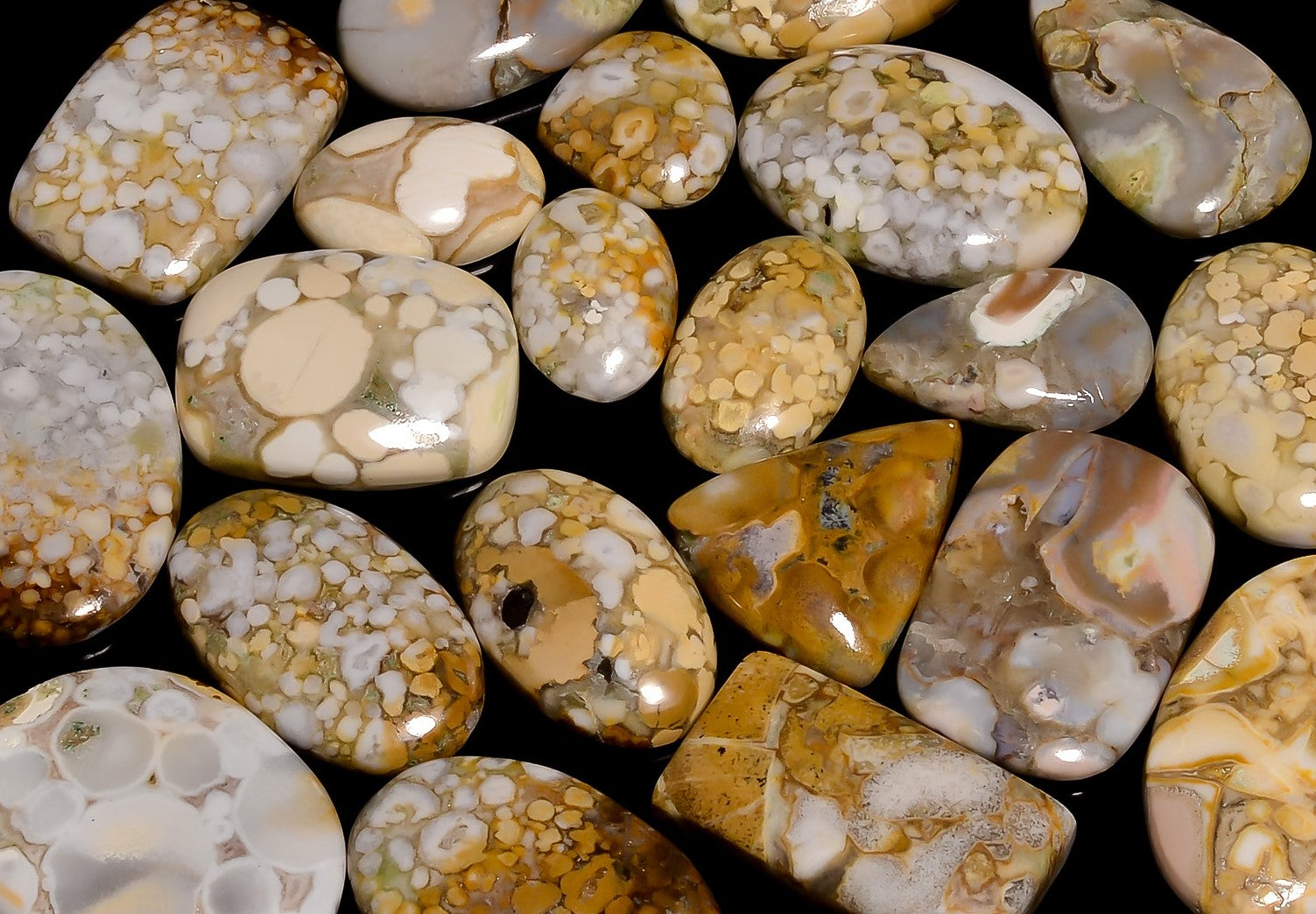 Wholesale Polka Dot Agate Cabochons – Bulk Gemstone Lot for Jewelry Supply Stores