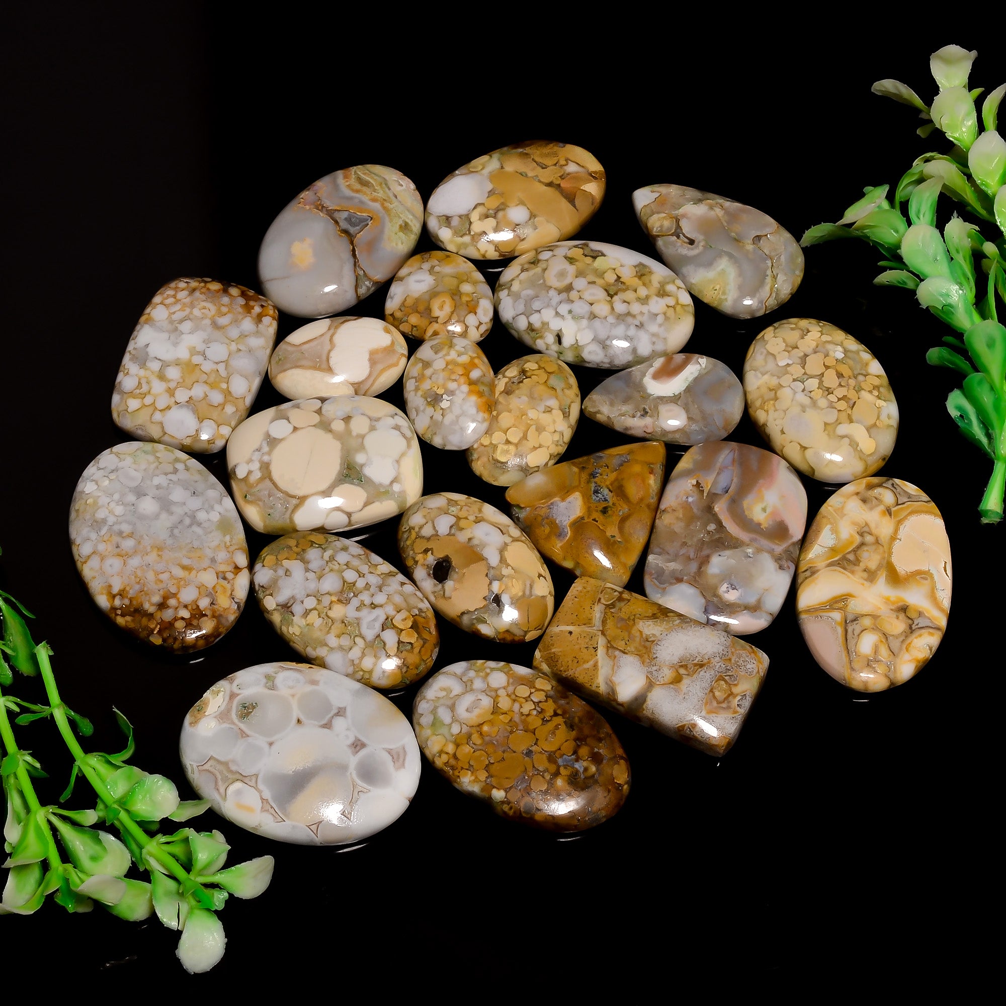 Wholesale Polka Dot Agate Cabochons – Bulk Gemstone Lot for Jewelry Supply Stores