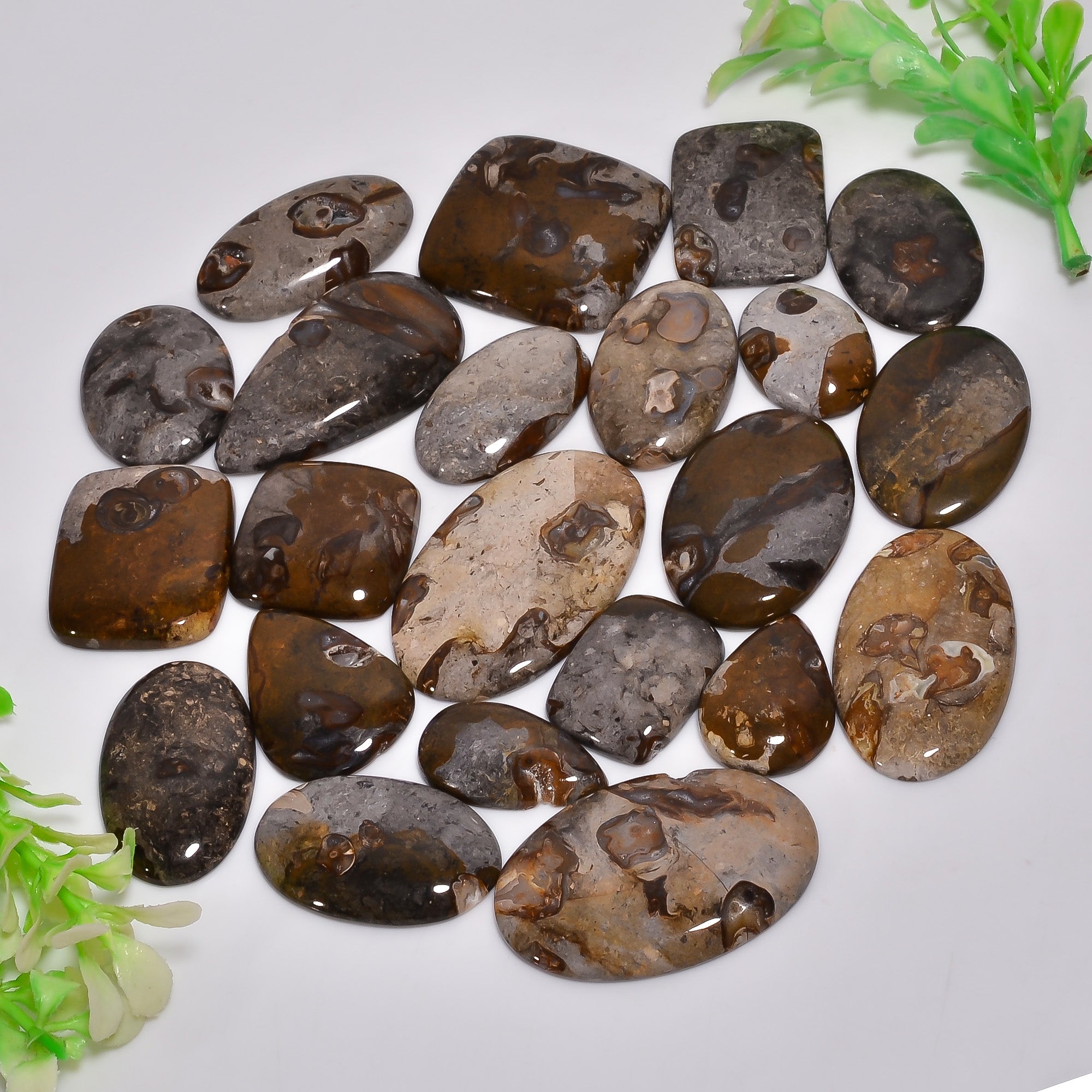Natural Rock Chalice Cabochons – Bulk Wholesale Gemstones for Jewelry Production