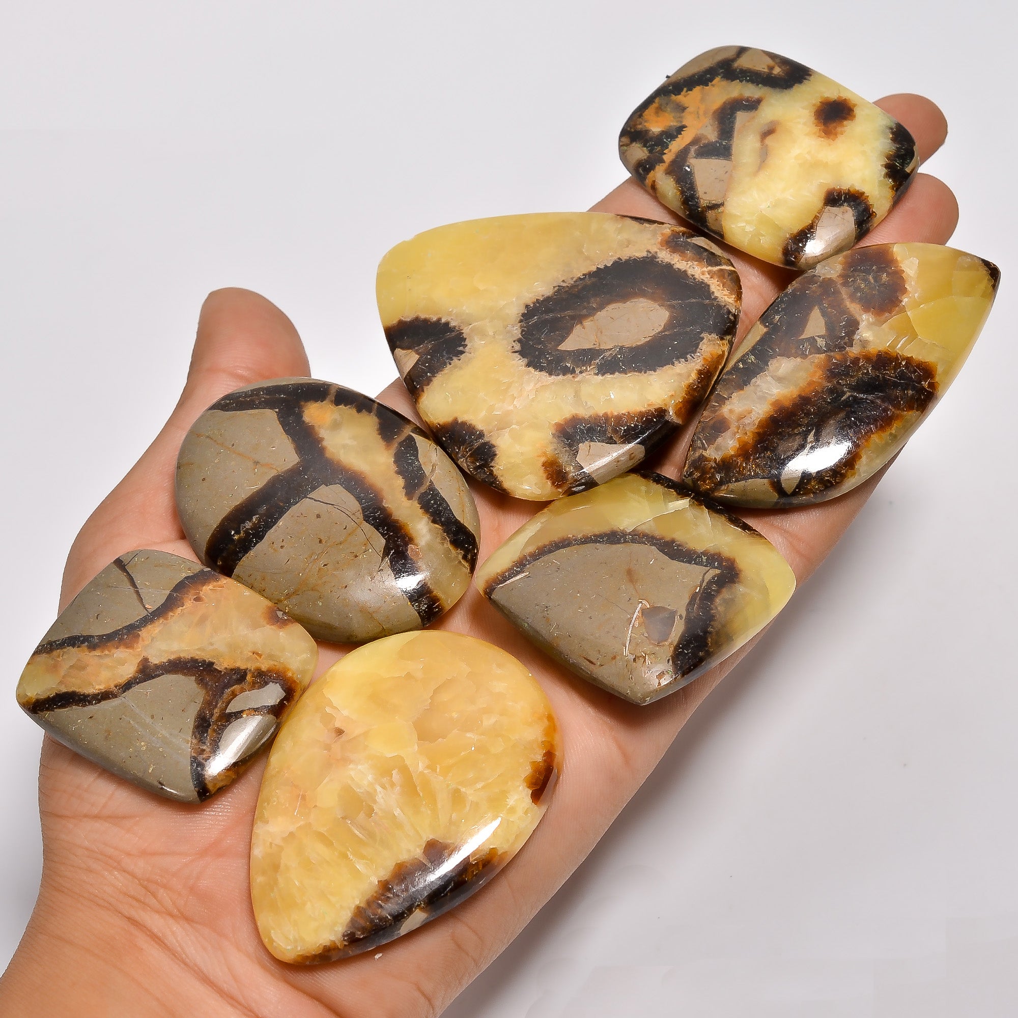 Wholesale Natural Septarian Cabochons – Bulk Gemstone Lot for Jewelry Designers