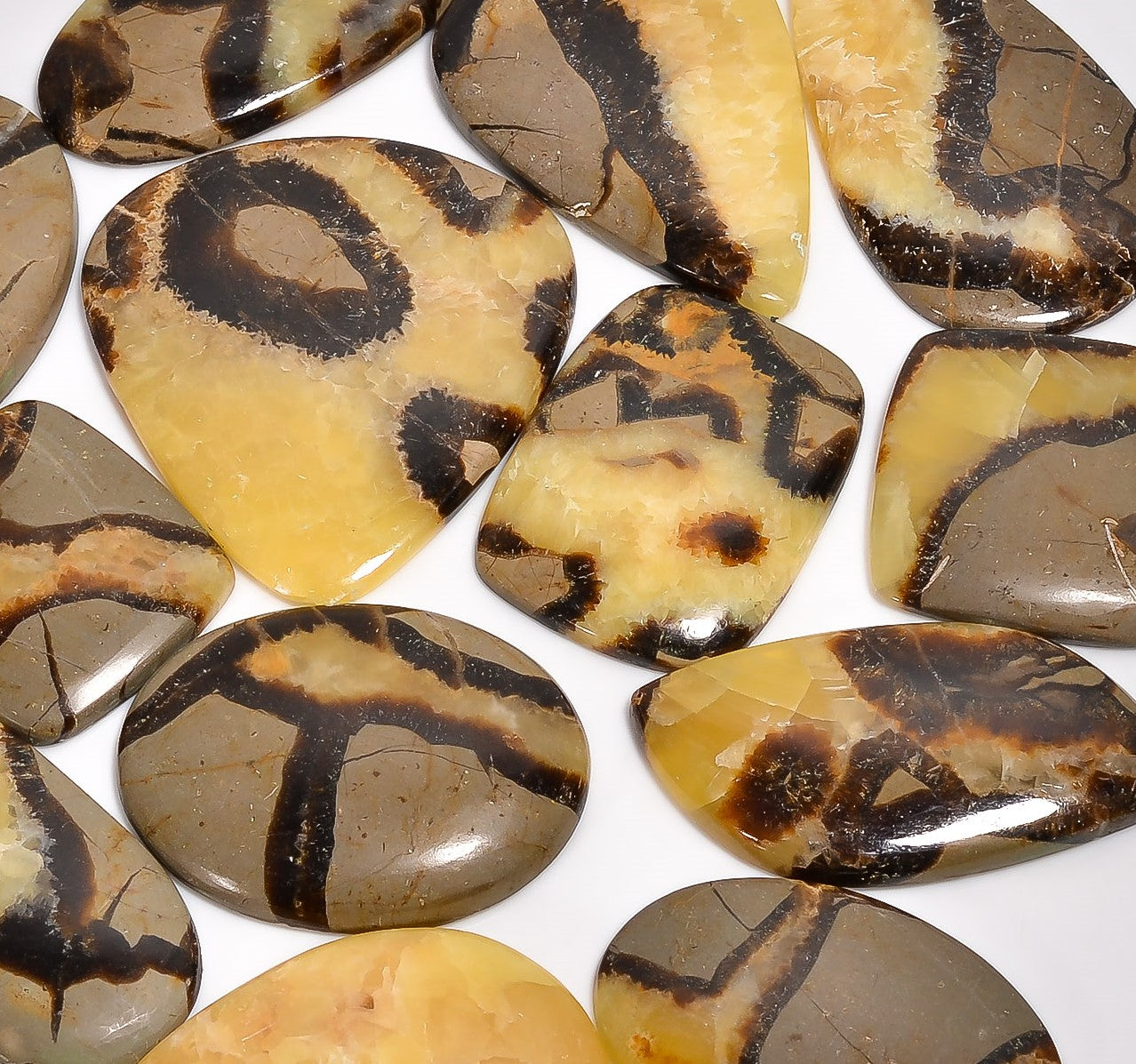 Wholesale Natural Septarian Cabochons – Bulk Gemstone Lot for Jewelry Designers