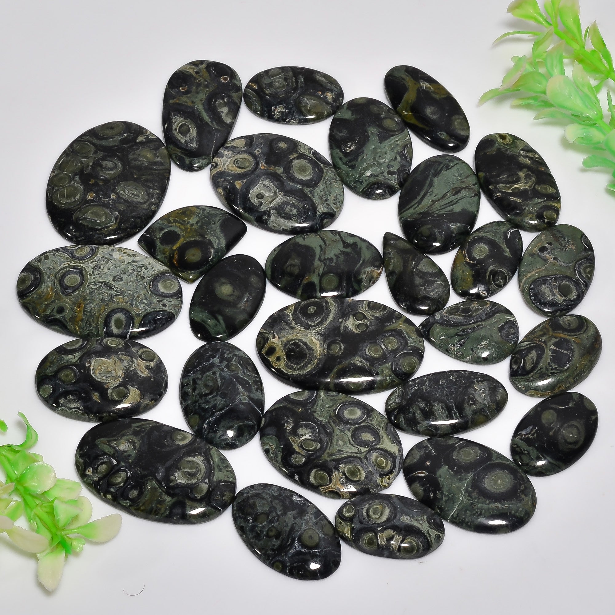 Polished Natural Star Galaxy Jasper Cabochons – Mixed Sizes Wholesale Gemstone Lot